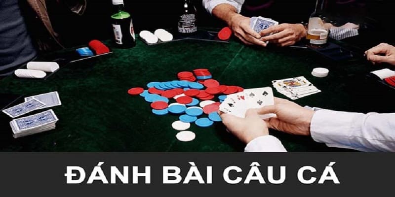 Cách chơi bài câu cá để đạt chiến thắng