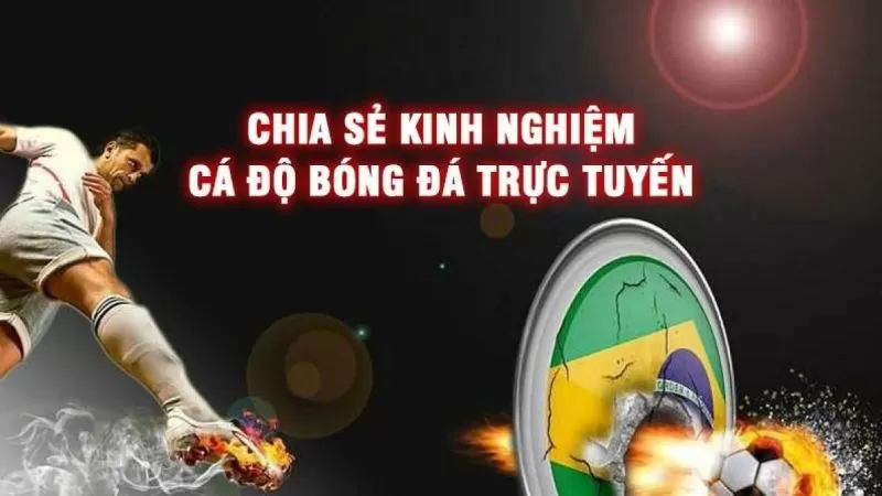 Chọn nhà cái có chuyên mục soi kèo uy tín để chơi