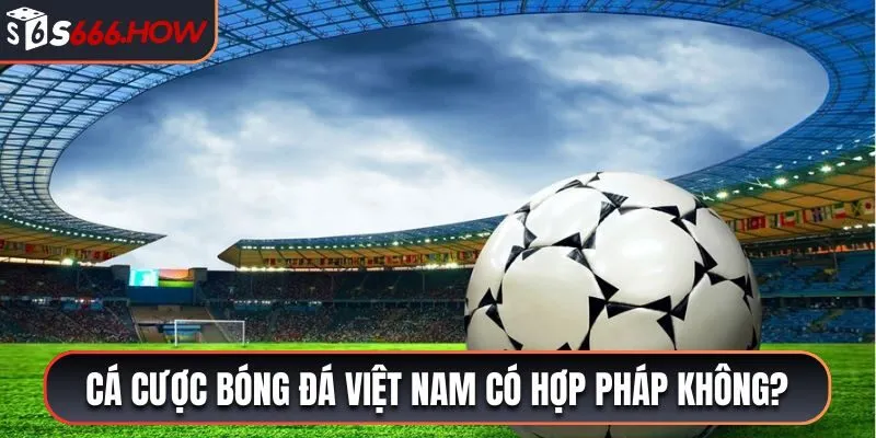 Cá cược bóng đá Việt Nam có hợp pháp không?