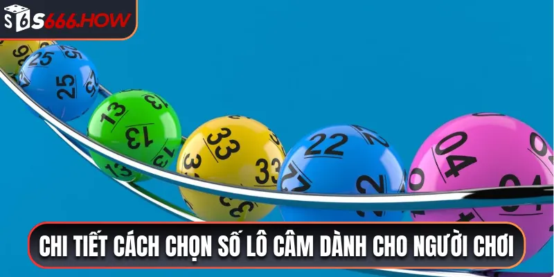 Chi tiết cách chọn số lô câm dành cho người chơi