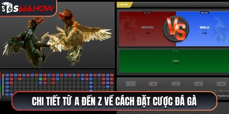 Chi tiết từ A đến Z về cách đặt cược đá gà