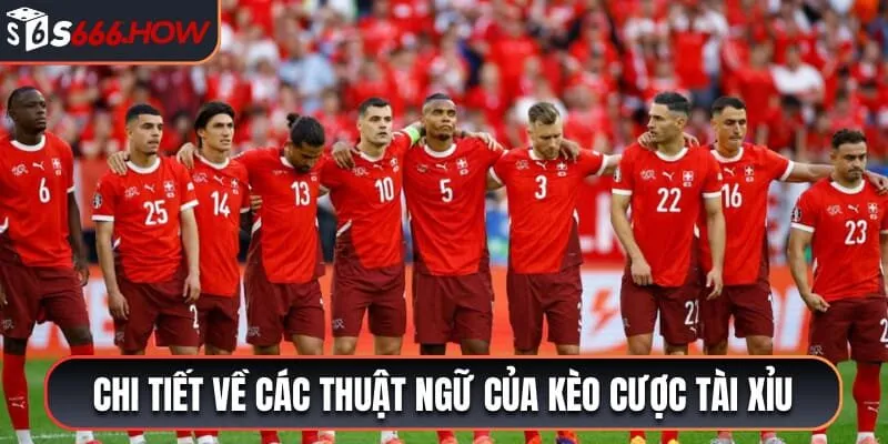 Chi tiết về các thuật ngữ xuất hiện kèo cược tài xỉu