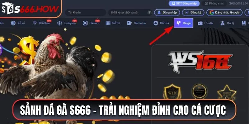 Khuyến mãi độc quyền khi chơi tại sảnh đá gà S666