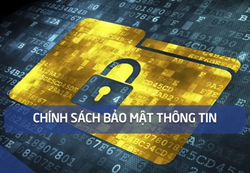 Trách nhiệm của nhà cái S666 với người chơi
