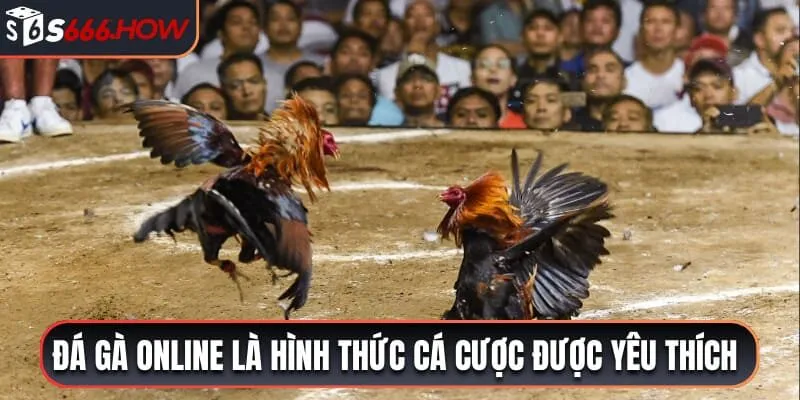 Đá gà online là hình thức cá cược được yêu thích