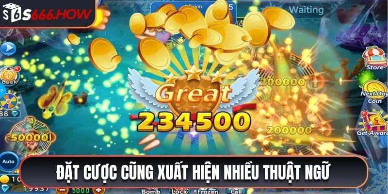 Đặt cược cũng xuất hiện nhiều thuật ngữ cần biết