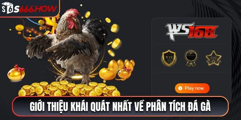 Giới thiệu khái quát nhất về phân tích đá gà