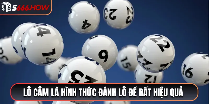 Lô câm là hình thức đánh lô đề rất hiệu quả