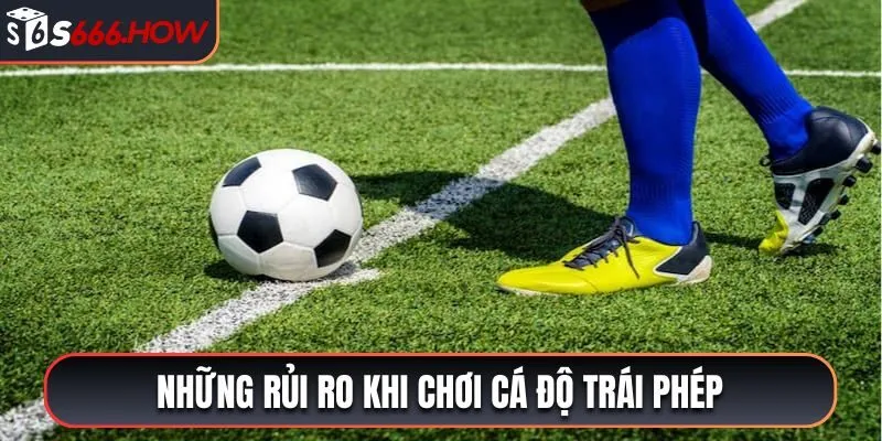 Những rủi ro khi chơi cá độ trái phép