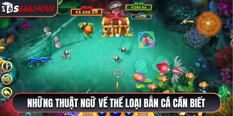 Những thuật ngữ về thể loại bắn cá cần biết