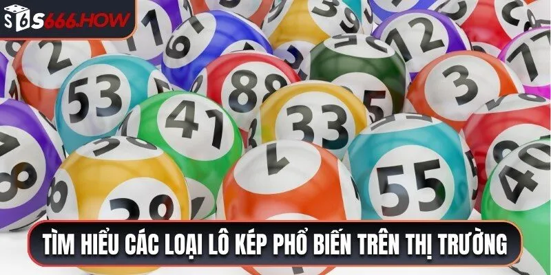 Tìm hiểu các loại lô kép phổ biến trên thị trường