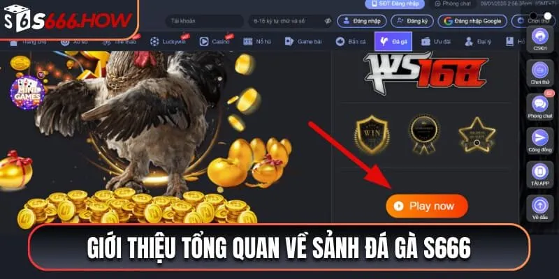 Giới thiệu tổng quan về sảnh đá gà S666
