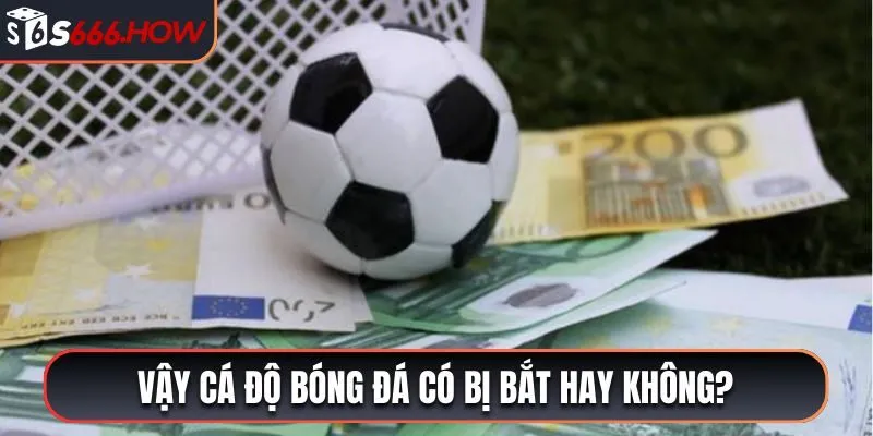 Vậy cá độ bóng đá có bị bắt hay không?